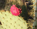 photo thumbnail #4