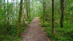 photo thumbnail #14