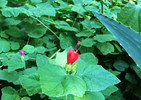 photo thumbnail #10