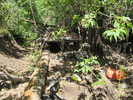 photo thumbnail #6