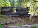 photo thumbnail #7