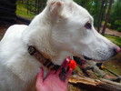 photo thumbnail #8