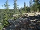 photo thumbnail #6