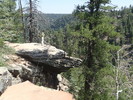 photo thumbnail #12