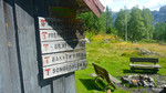 photo thumbnail #8