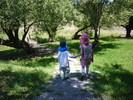 photo thumbnail #7