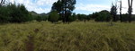 photo thumbnail #14