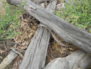 photo thumbnail #12
