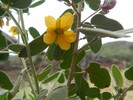 photo thumbnail #13