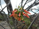 photo thumbnail #15