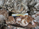 photo thumbnail #9