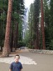 photo thumbnail #7