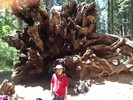 photo thumbnail #6