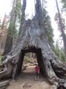 photo thumbnail #7