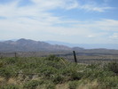 photo thumbnail #10