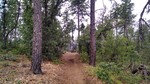 photo thumbnail #7