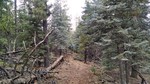 photo thumbnail #15
