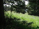 photo thumbnail #12