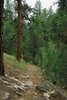 photo thumbnail #10