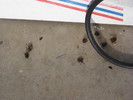 photo thumbnail #1
