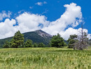 photo thumbnail #10