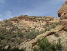photo thumbnail #12