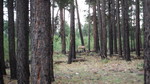 photo thumbnail #13