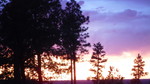 photo thumbnail #15
