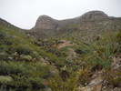 photo thumbnail #13