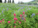 photo thumbnail #8