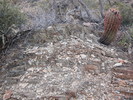 photo thumbnail #3