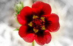 photo thumbnail #11