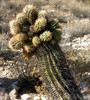 photo thumbnail #2