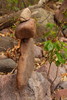 photo thumbnail #10