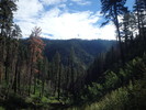 photo thumbnail #5