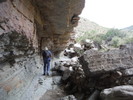 photo thumbnail #3