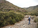 photo thumbnail #4