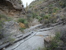 photo thumbnail #12