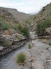 photo thumbnail #13