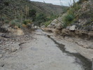 photo thumbnail #10