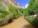 photo thumbnail #14