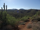 photo thumbnail #13