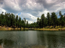 photo thumbnail #10