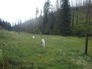 photo thumbnail #1