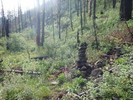 photo thumbnail #4