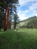 photo thumbnail #11