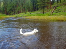 photo thumbnail #13