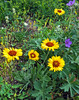 photo thumbnail #4