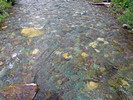 photo thumbnail #12