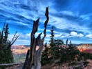 photo thumbnail #15